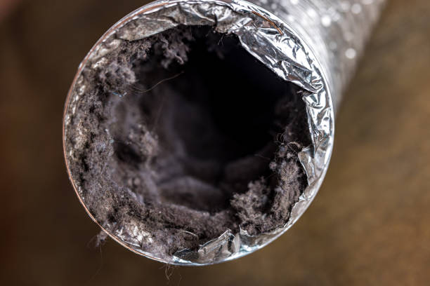 Best Residential Air Duct Cleaning  in New Holstein, WI